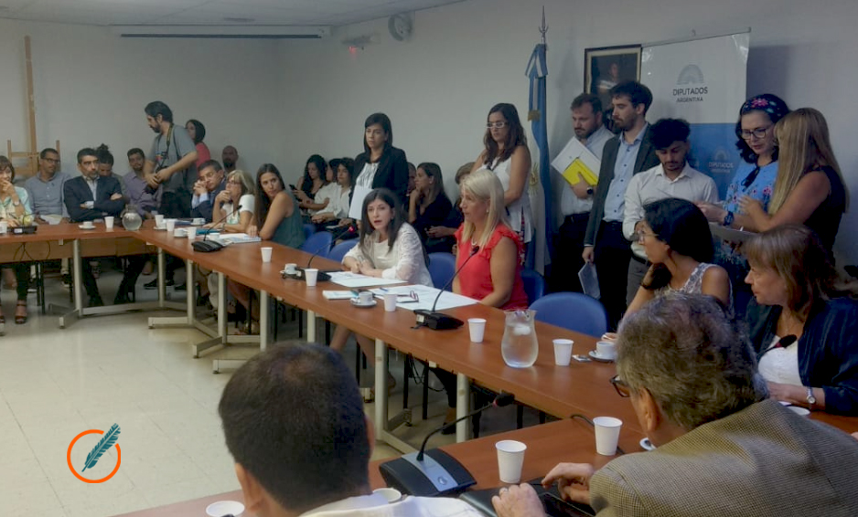 Vallejos fue designada al frente de la comisión de Finanzas de Diputados, y Heller de Presupuesto
