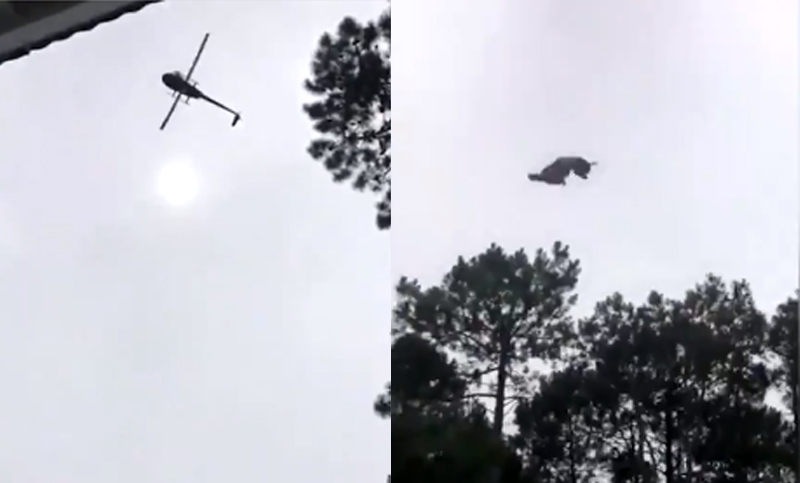Justicia uruguaya investiga el caso del animal arrojado desde un helicóptero a una pileta: dos empresarios argentinos involucrados