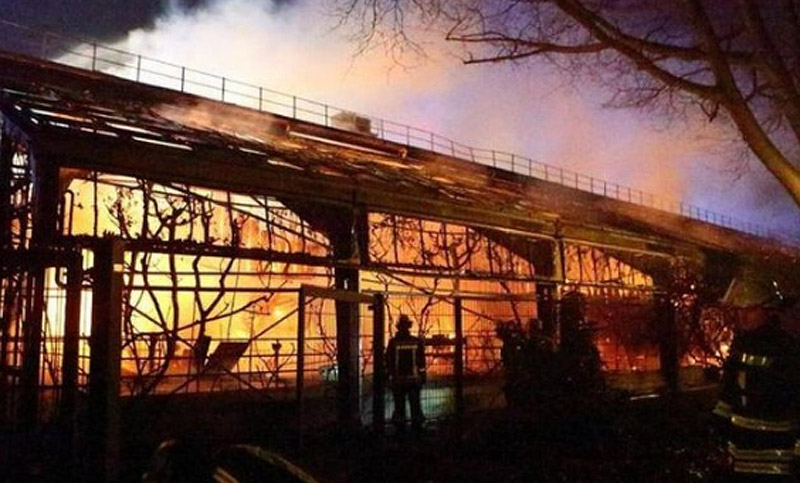 Un incendio por pirotecnia en zoológico alemán causó la muerte de 30 monos