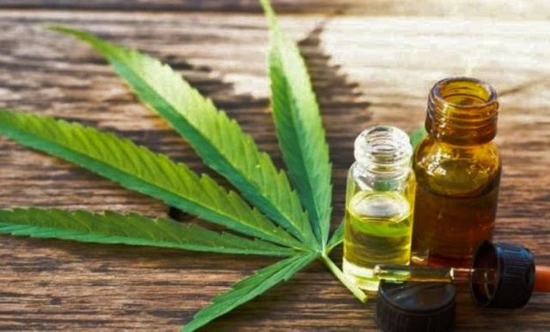 Deportistas profesionales podrán consumir cannabis medicinal