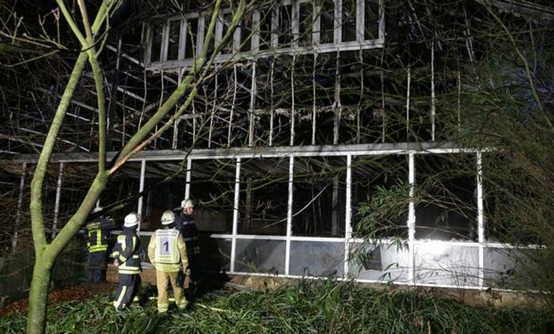 Piden «reconvertir» un zoológico después de que un incendio matara a decenas de animales
