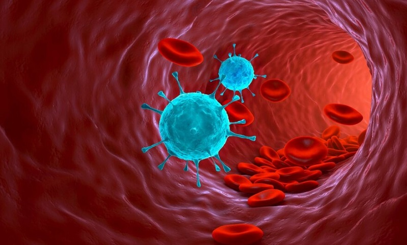 Coronavirus: su capa de proteínas hace que sea más contagioso y se lo vincula al Alzheimer