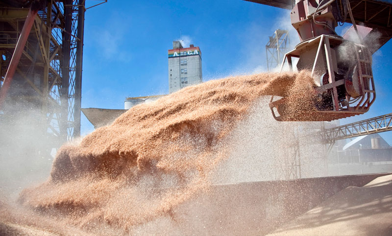 Agronegocios: nombres, historias e intereses de la agricultura tóxica