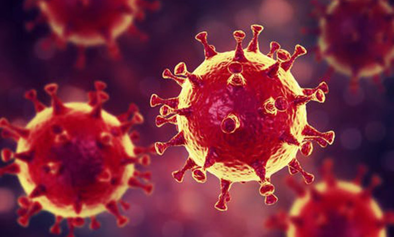 Asesor de la OMS dice que el coronavirus puede infectar a más de 5 mil millones de personas