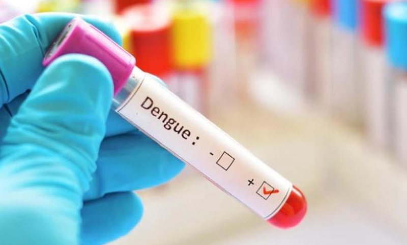 Científicos argentinos desarrollaron un test que detecta el virus del dengue en 10 minutos