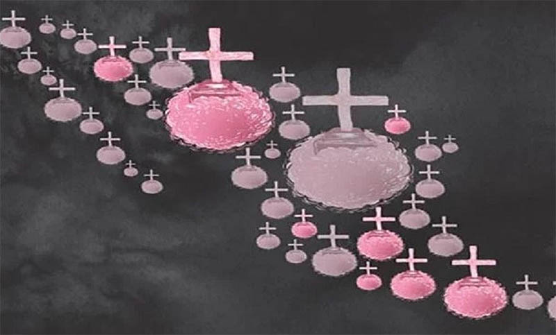 «Se necesita voluntad política y cumplir la ley» para reducir los femicidios, dice experta mexicana