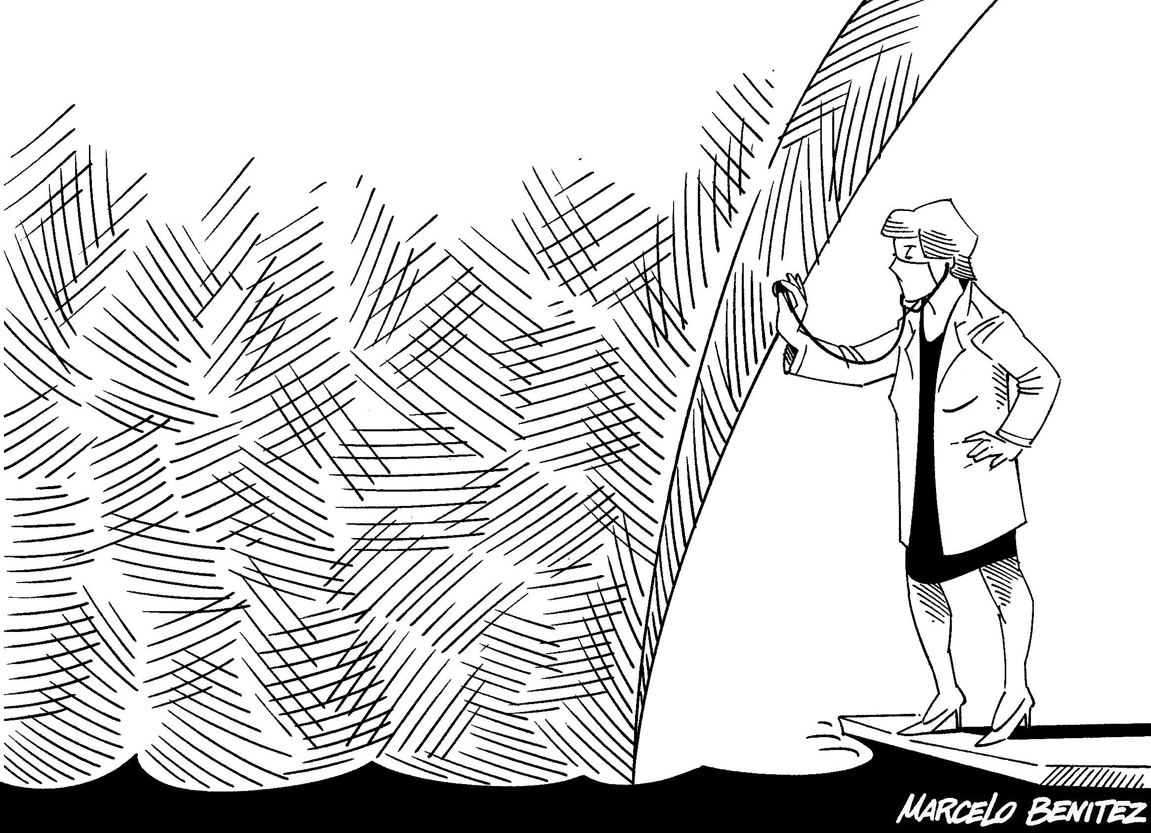 Detección del Coronavirus