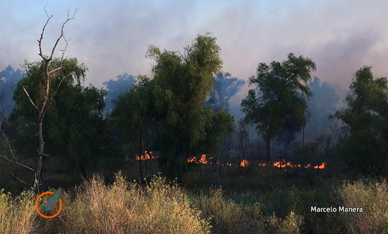 Instan al Estado Nacional, Santa Fe y Entre Ríos a intervenir para evitar incendios en el Paraná