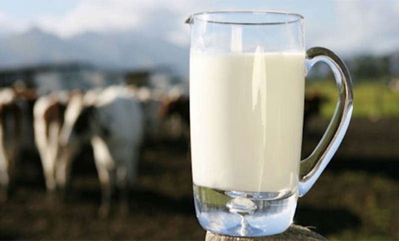 Ganaderos alemanes regalan leche ante extorsión de grupo empresario lácteo