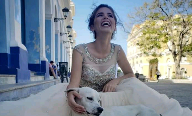Un perro callejero se “coló” en la sesión de fotos de una quinceañera