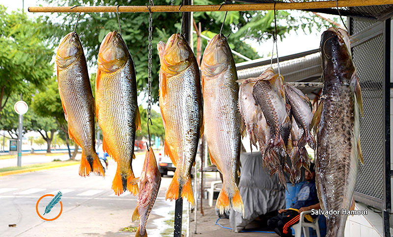 Pescadores de Santa Fe «en alerta» por la restricción debido a la pandemia