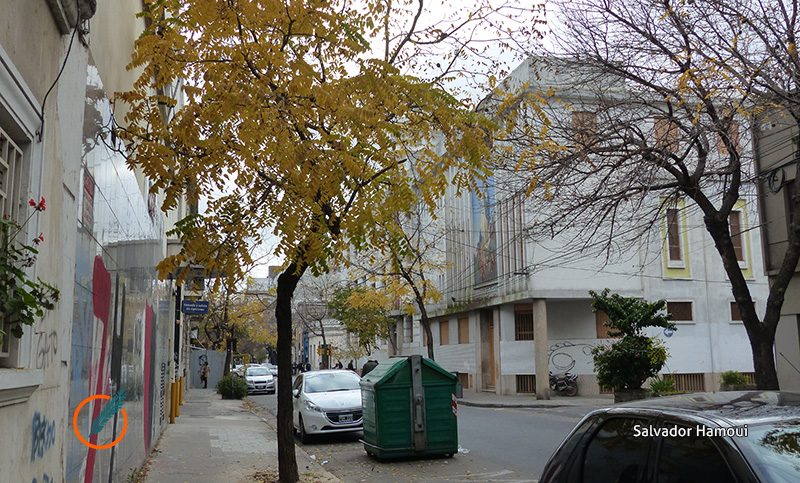 Llegó el otoño, entre movimientos astrales de afuera y pandemias de adentro