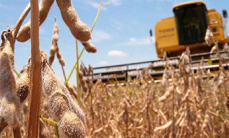 El Gobierno oficializa suba de retenciones a la soja y baja para economías regionales