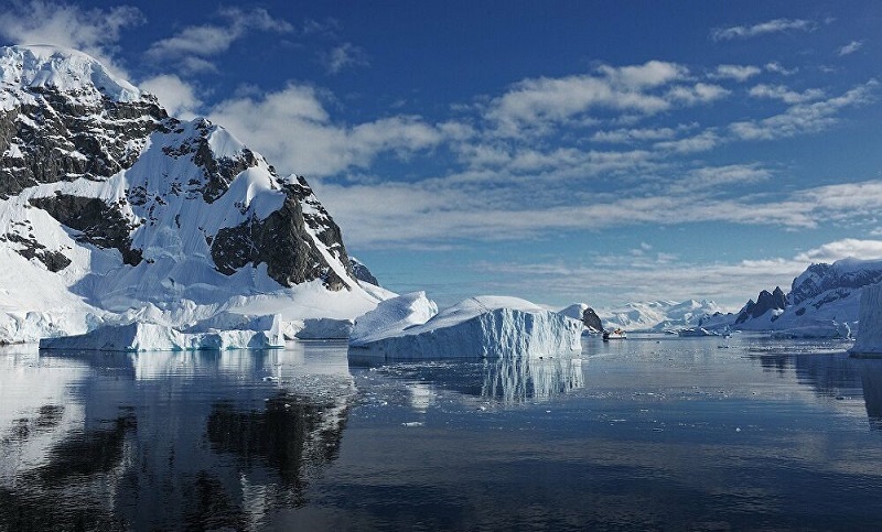 Estudio revela que la Antártida tenía un clima de selva tropical hace 90 millones de años