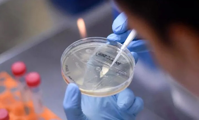 Chubut confirma su primer caso de coronavirus