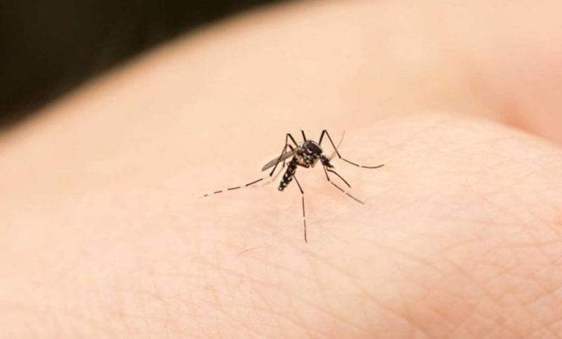 Confirmaron un nuevo fallecimiento por dengue en Rosario