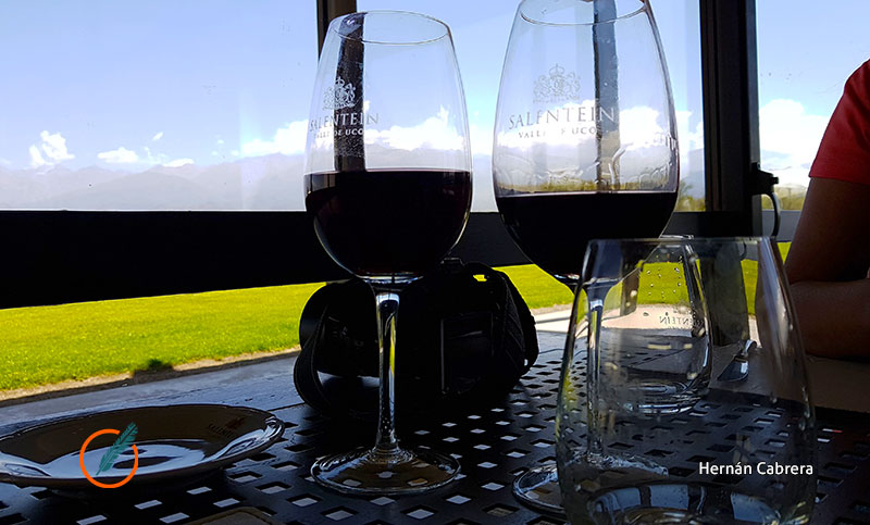 El consumo de vino cayó 30% en marzo por la pandemia