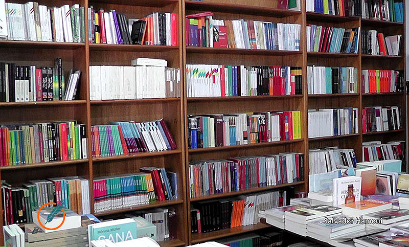 Día Internacional del Libro: las obras que no podes dejar de leer