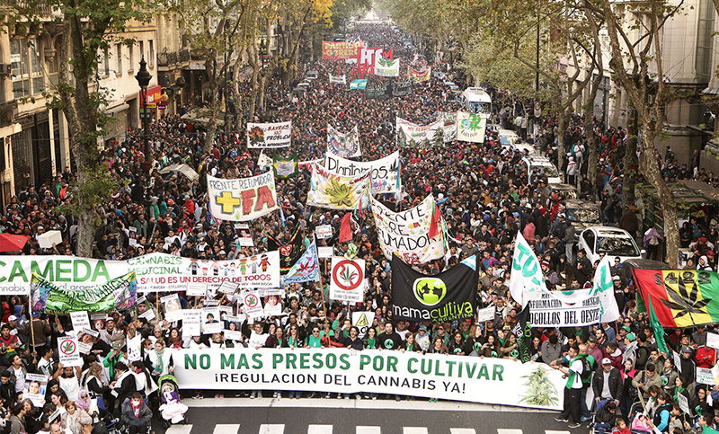 Llaman a manifestarse a través de las redes para pedir que se legalice el consumo de marihuana en el país 