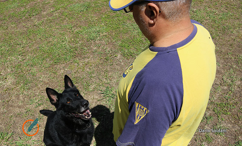 Terapias asistidas con perros adiestrados en la Fundación Knine: programa 2