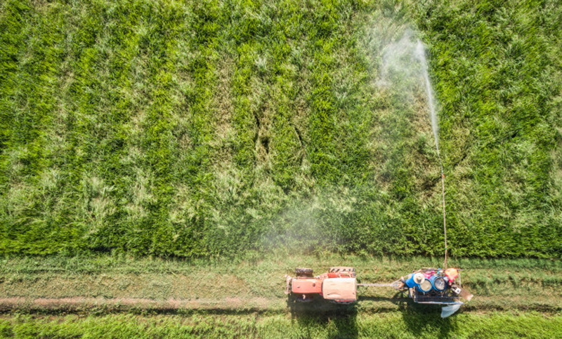 Documentos internos demuestran que Monsanto sabía de sus daños químicos