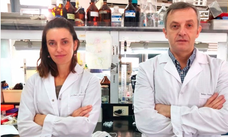 Conicet: logran detectar rápidamente coronavirus en muestras de pacientes positivos