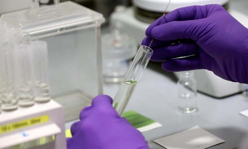 Un fármaco antiparasitario logra matar al coronavirus en 48 horas