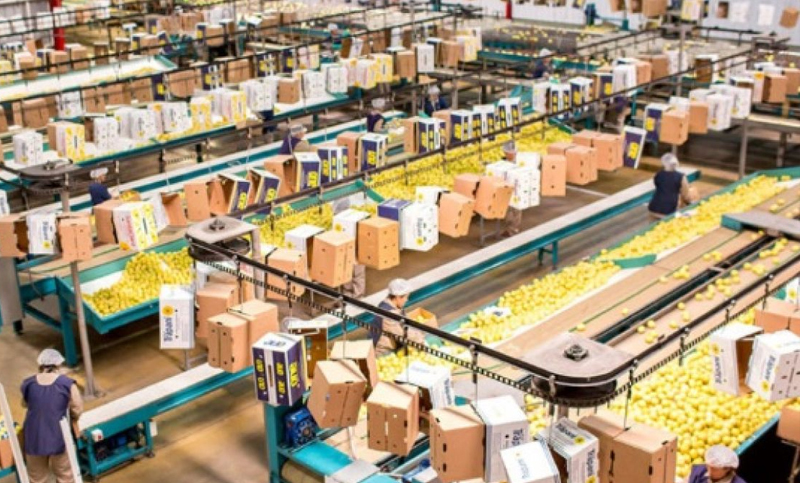 Industrias del norte argentino piden postergar el pago de impuestos en medio de la cuarentena