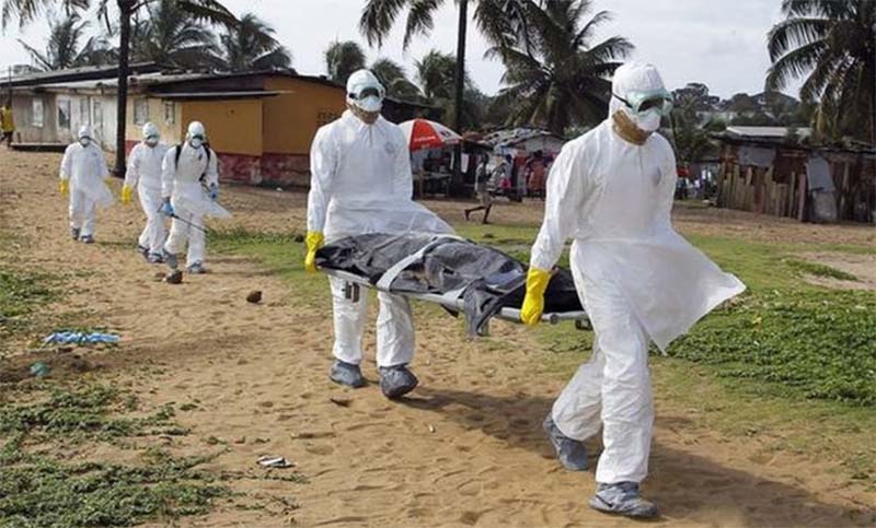 Grave: OMS advierte por «creciente amenaza de pandemias» en todo el mundo
