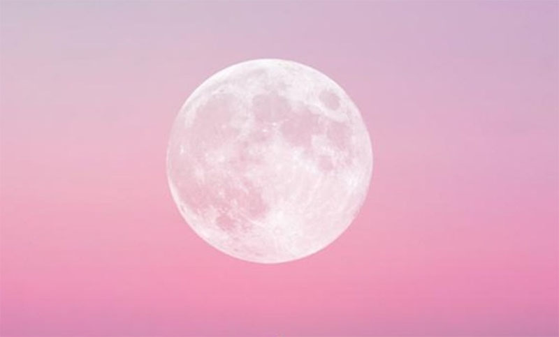 Esta noche se observará la «superluna» rosa: ¿qué es y dónde verla?