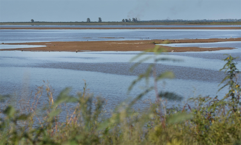 El río Paraná, en su nivel más bajo del siglo en el puerto de Santa Fe