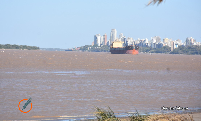 La bajante histórica del Paraná ocasiona grandes pérdidas para la agroindustria