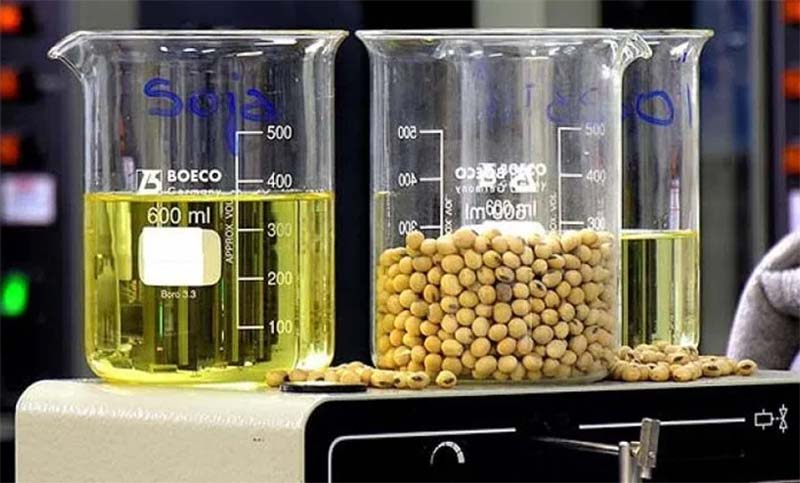 Duro golpe al biodiesel argentino: Estados Unidos ratificó los aranceles
