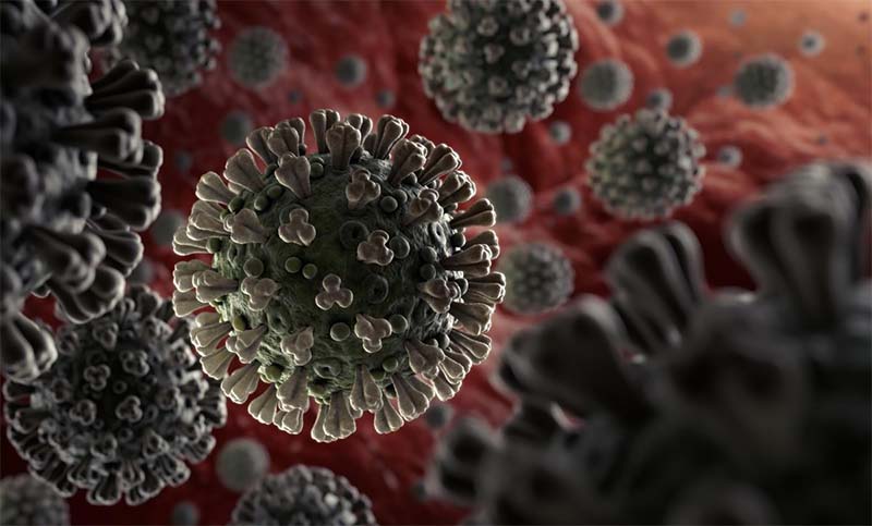 El post-Covid-19: ¿un siglo biológico? cuatro consecuencias de la pandemia