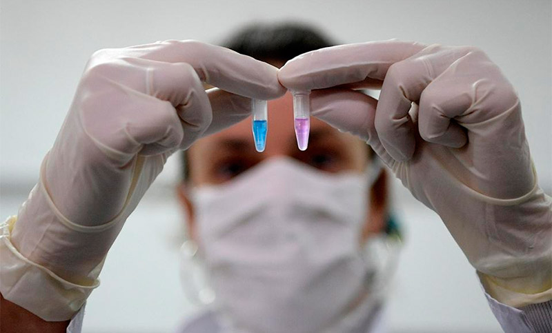La cantidad de muertos por coronavirus en Argentina asciende a 456