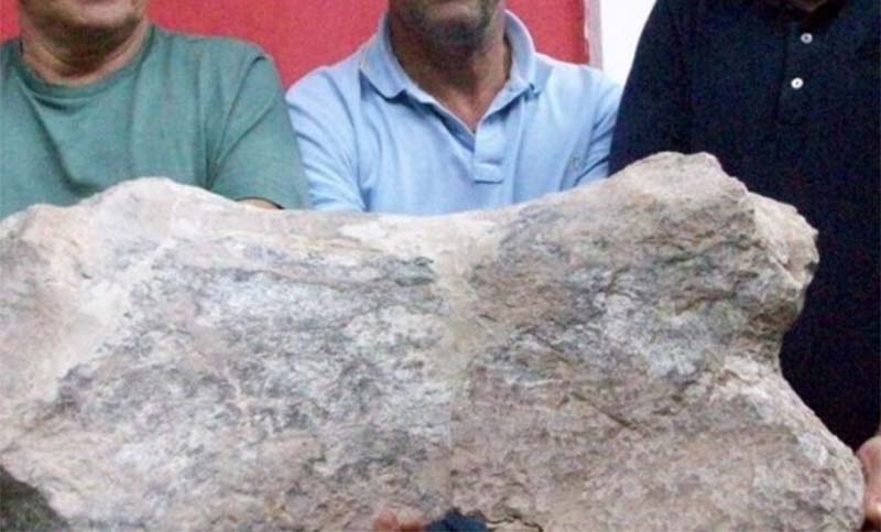 Hallaron restos fósiles de un perezoso gigante en San Pedro