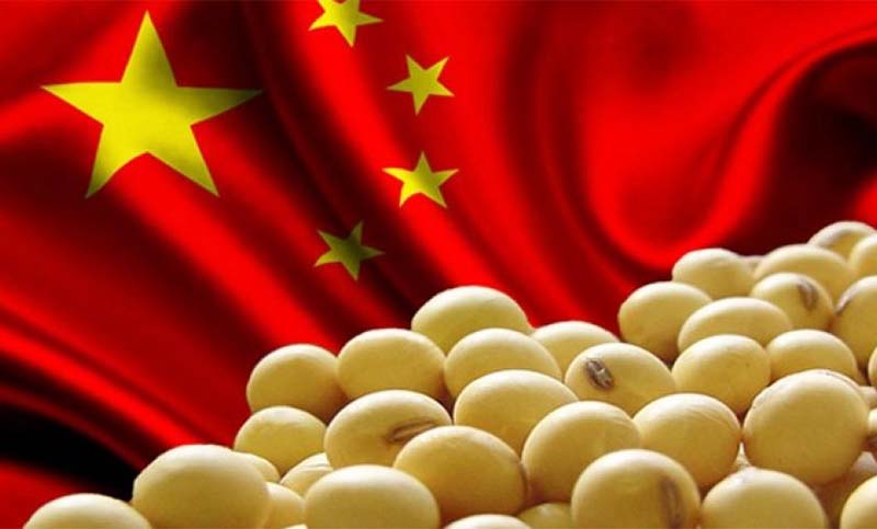 A pesar de las tensiones, China vuelve a comprar soja a USA y perjudica a la Argentina