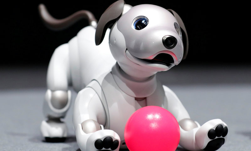 Mascotas tecnológicas: robots intentan sustituir a las de carne y hueso
