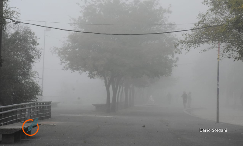 Arranca la semana con pronóstico de lluvia y frío