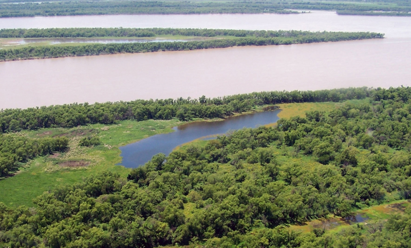 Proponen crear una “Reserva Nacional Humedales Delta del Paraná”