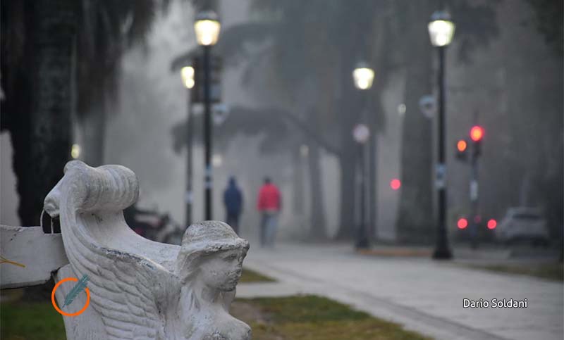 Confirmaron un nuevo caso de coronavirus en Rosario: único este sábado en Santa Fe