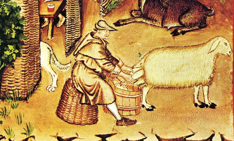 ¿Sabés cuántas horas trabajaba un campesino de la Edad Media?