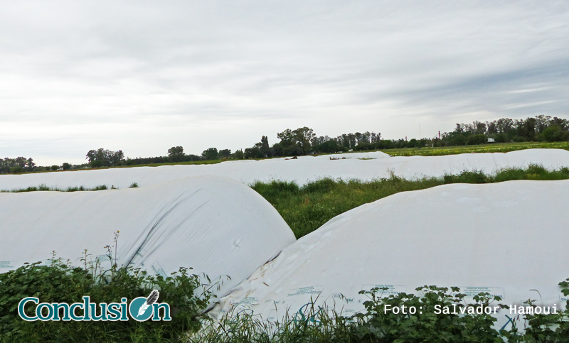 Ataque a silobolsas: desde entidades del agro ven “con agrado” actitud del Gobierno