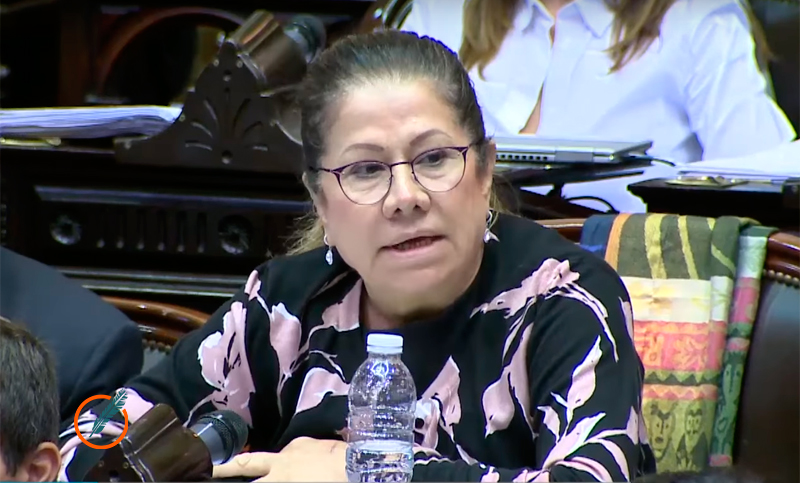 Graciela Camaño defendió su voto clave en el Consejo de la Magistratura