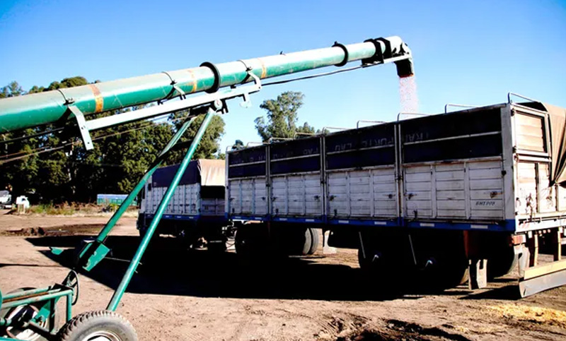 El transporte de cargas argentino, entre los tres más afectados del mundo por la pandemia
