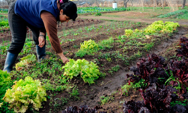 Alarma en el corredor agroecológico por un proyecto que impulsa el municipio