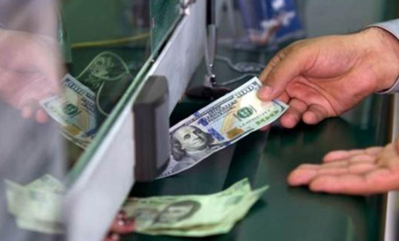 Diputados opositores piden al BCRA que aclare la norma que permite comprar dólares a argentinos residentes en el exterior