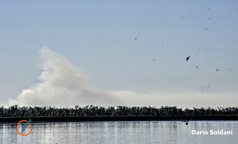Nuevas quemas en las islas y Rosario volvió a llenarse de humo