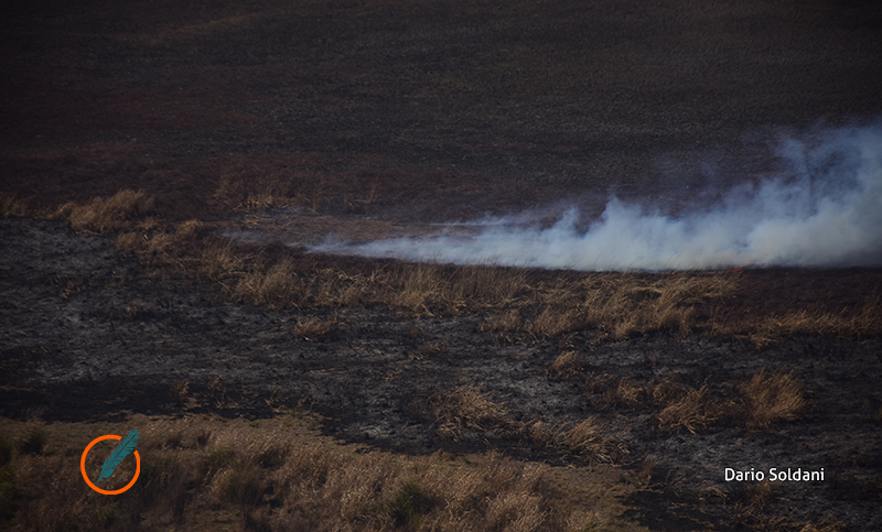 Una cuadrilla de vecinos se enfrentó al fuego en las islas