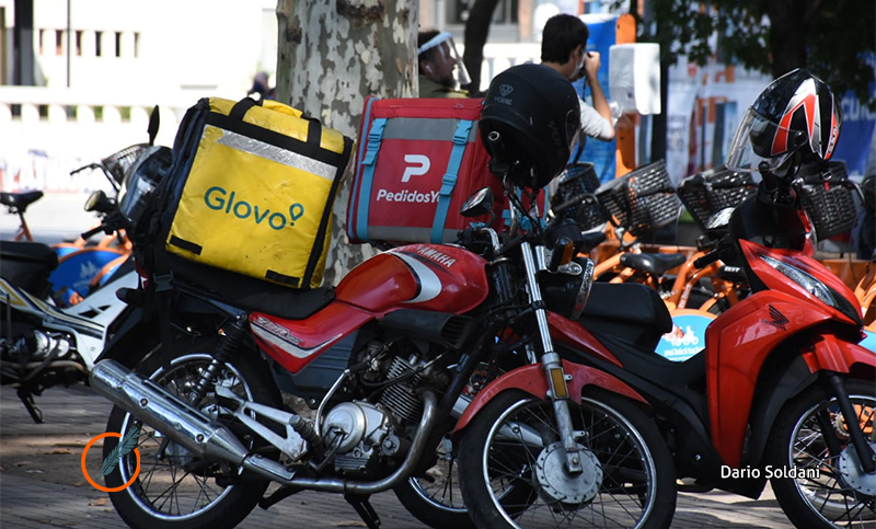 El Concejo comienza el debate para regular las aplicaciones de delivery en Rosario